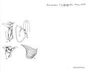 Bicoxidens polyptychus