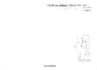 Callipus longobardius
