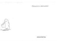 Chaleponcus denticulatus