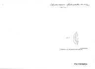 Chondrodesmus falciphallus