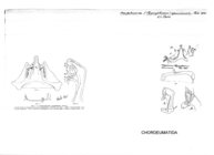 Craspedosoma apenninorum