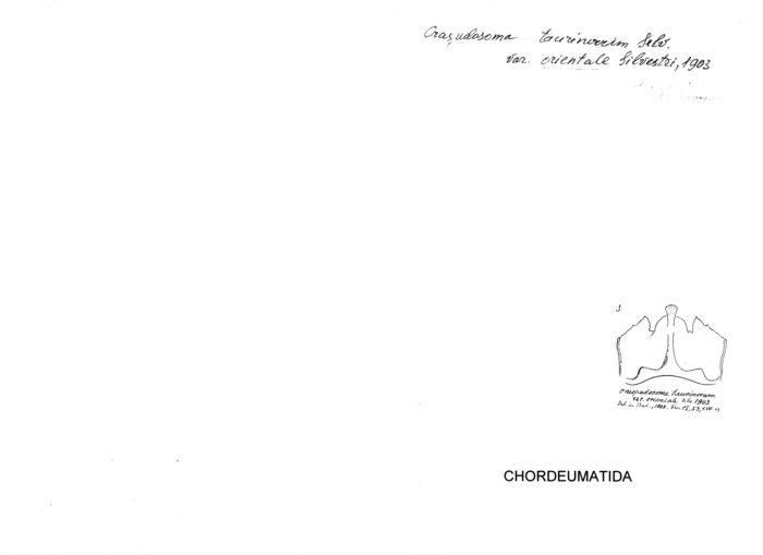 Craspedosoma taurinorum orientale