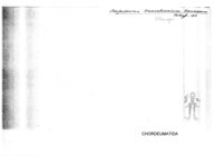 Craspedosoma transsilvanicum traunianum