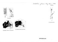 Cubobolus jibacoa