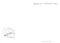 Cystogonopus trilineatus