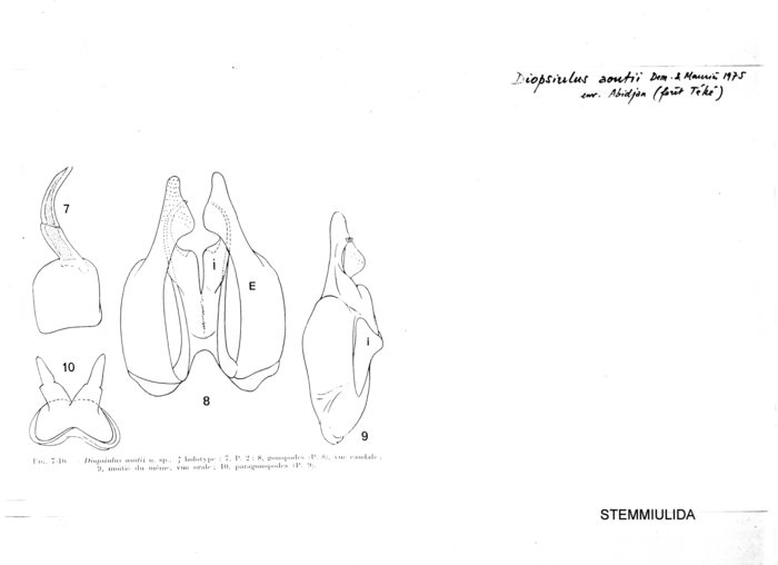 Diopsiulus aoutii