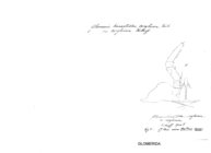 Glomeris hexasticha bosniensis var. Corylivora