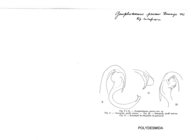 Gomphodesmus pavani