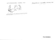 Goyazodesmus cuspidatus