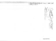 Graphidostreptus lugubris maior