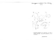 Laciniogonus nimbaensis