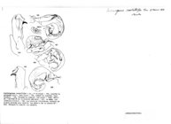 Laciniogonus rostellifer
