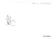 Obiricodesmus rupestris