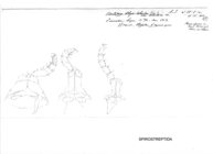 Odontopyge aloysiisabaudiae aberdarei