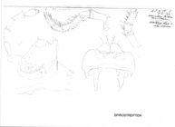 Odontopyge aloysiisabaudiae aberdarei
