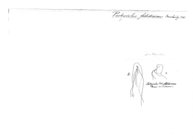 Pachyiulus foetidissimus