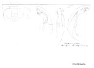 Polydesmus gallicus