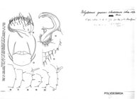 Polydesmus graecus rhodosensis