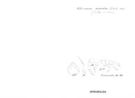 Salpidobolus anomalus