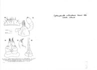 Siphonophorella silhouettensis