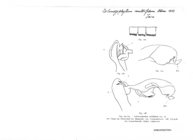 Solenozophyllum multifidum