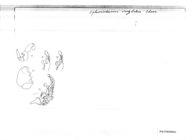 Sphaeriodesmus cruzbelem