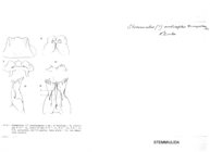 Stemmiulus oculiscaptus