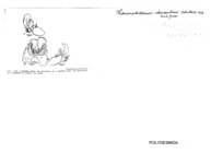 Thaumatodesmus chavantinus