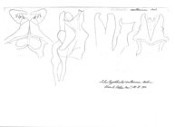 Typhloiulus sculterorum