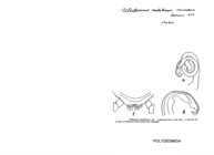 Ulodesmus natalensis microdens