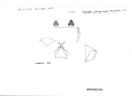 Zipyge ferruginipes