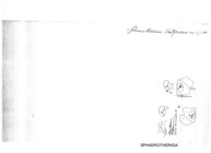 Zoosphaerium voeltzkowianum