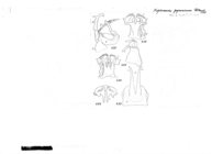 Xystrosoma pyrenaicum