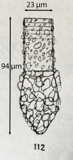 Original illustration frm Jörgesnsen 1924