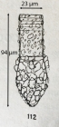 Original illustration frm Jörgesnsen 1924