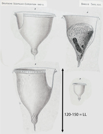 image from original description by Laackmann