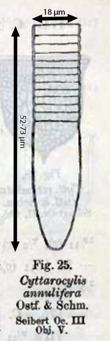 figure from original description 