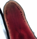 Specimen from the Black Sea