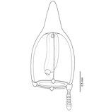 Euphysa intermedia (syn. Corymorpha intermedia)