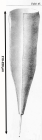 First described as Xystonella cymatica var. spicata 