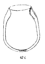 Undella claparedei f. ovata Jörgensen, 1924 now known as Proplectella ovata