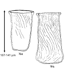 Rhabdonella spiralis var. elongata f. hydria Jörgensen 1924
