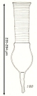 Codonellopsis longa Kofoid & Campbell, 1929