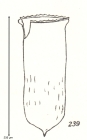 Cymatocylis labiosa Kofoid & Campbell, 1929