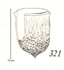 Epiplocylis healdi Kofoid & Campbell, 1929