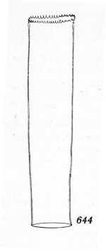 Tintinnus rugosus Kofoid & Campbel 1929