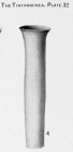 Eutintinnus turgescens (Kofoid & Campbell 1929)