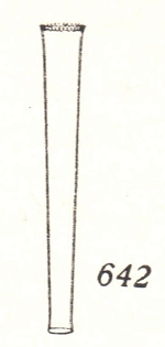 Tintinnus turris Kofoid & Campbell 1929