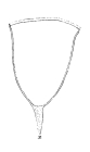 Favella adriatica (Imhof, 1886) emended Jørgensen 1924