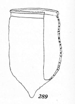 Favella confessa Kofoid & Campbell, 1929